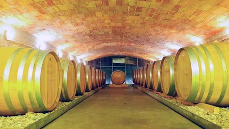 Visita la Bodega Lagravera y cata de 4 vinos